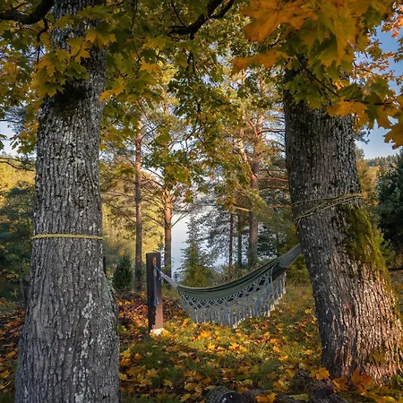 Dom Na Kaszubach Natura * Fingrowa Huta