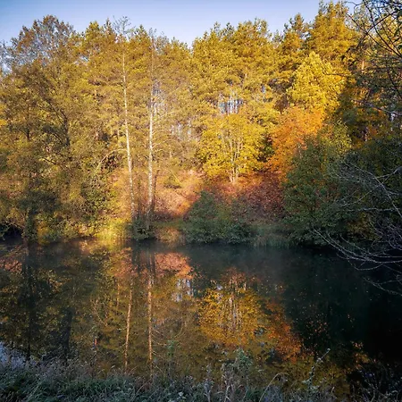 Villa Dom Na Kaszubach Natura