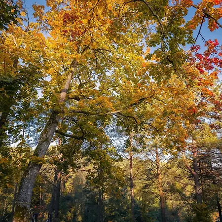 Dom Na Kaszubach Natura * Fingrowa Huta
