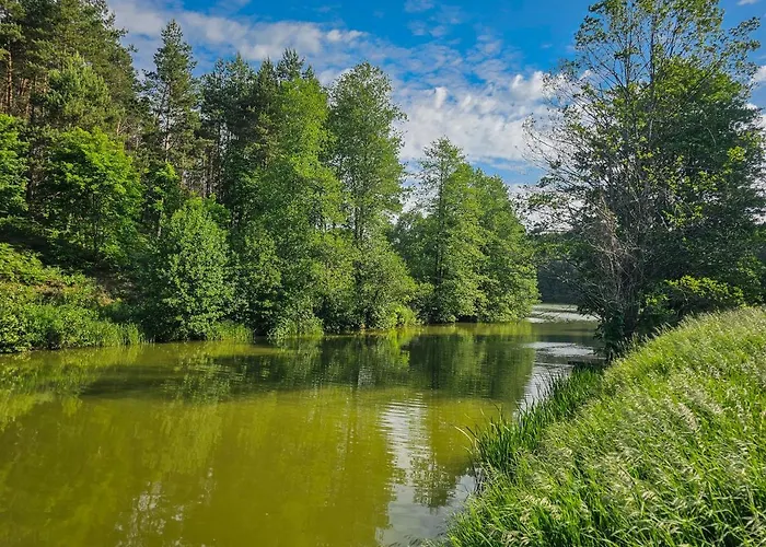Vila Dom Na Kaszubach Natura