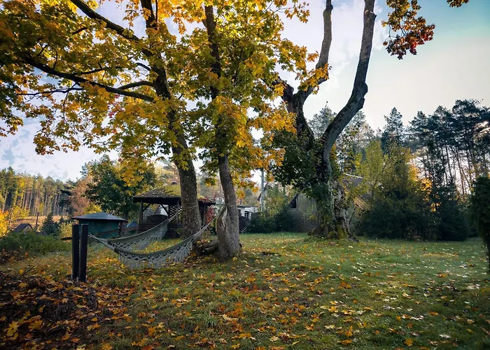 Dom Na Kaszubach Natura Vila Fingrowa Huta