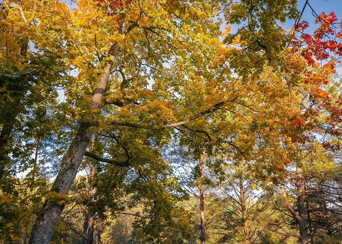 Dom Na Kaszubach Natura * Fingrowa Huta